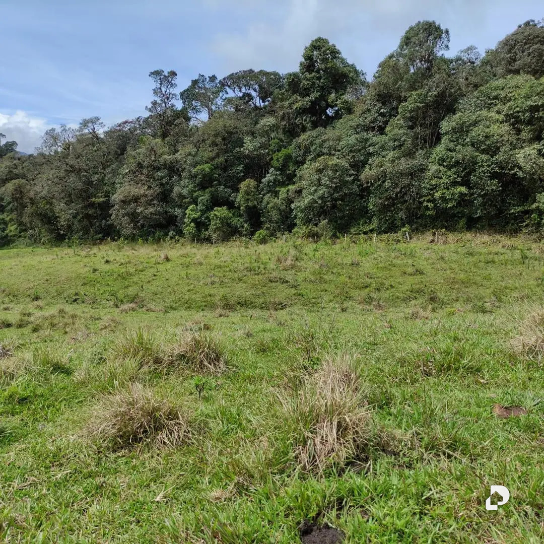 Farm in La Azulita – 17