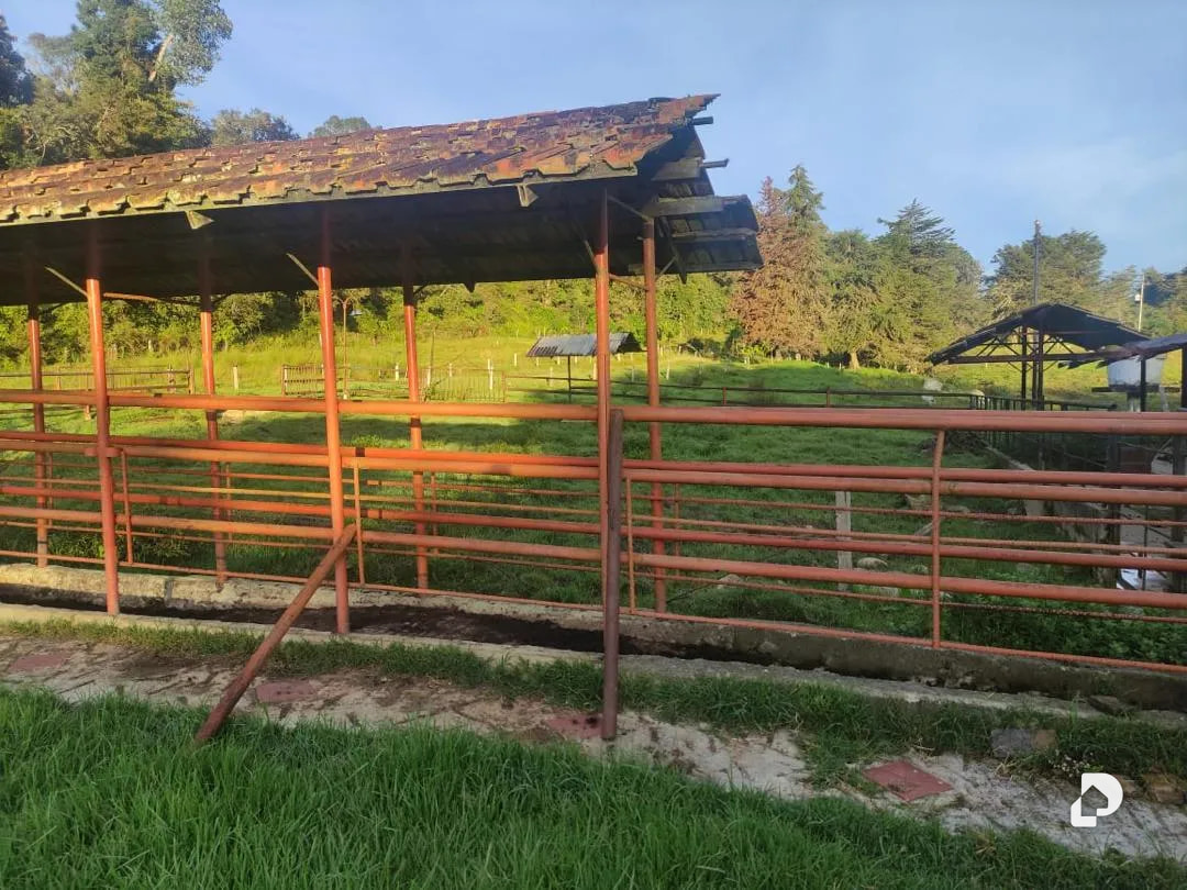 Farm in La Azulita – 12
