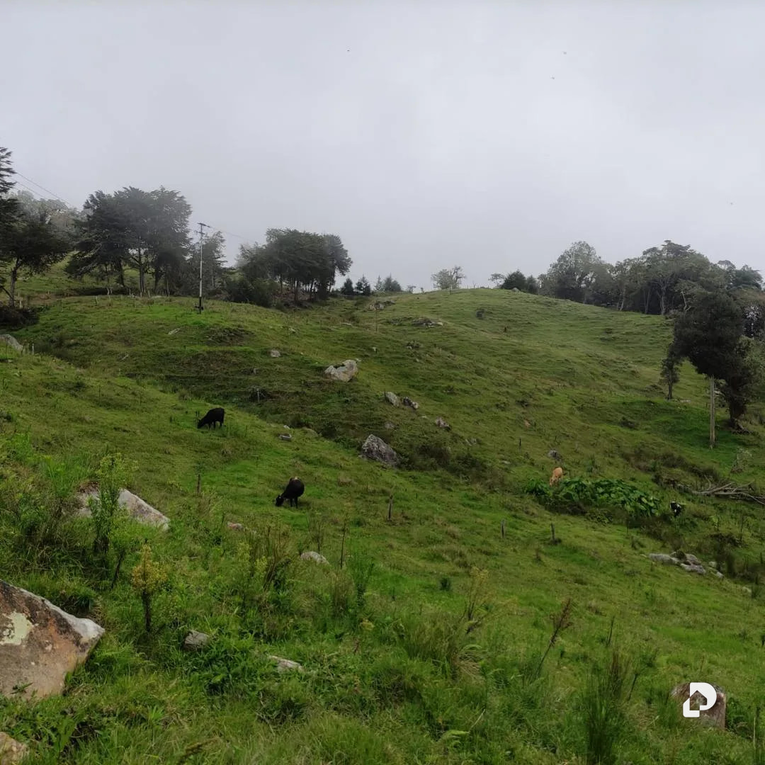 Farm in La Azulita – 3