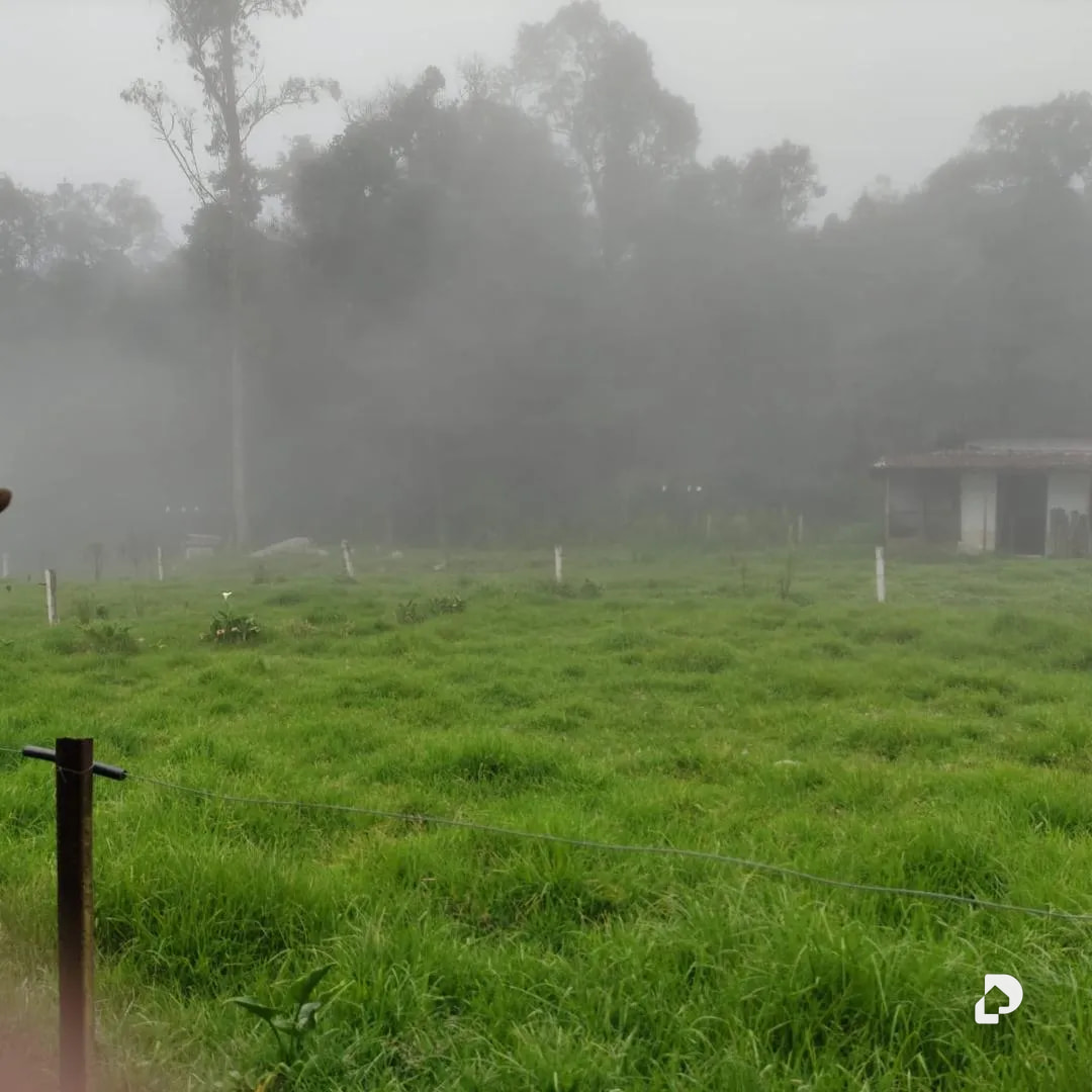 Farm in La Azulita – 5
