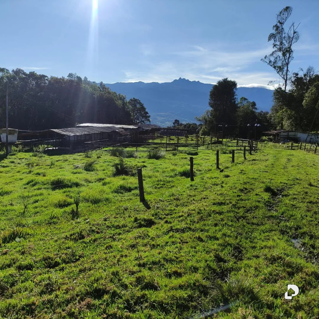 Farm in La Azulita – 1