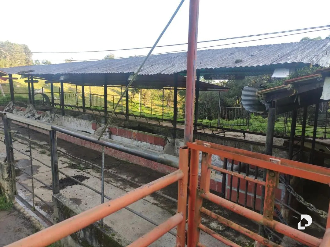 Farm in La Azulita – 11
