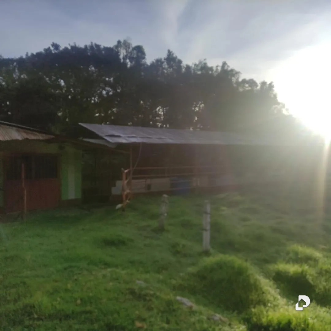 Farm in La Azulita – 19