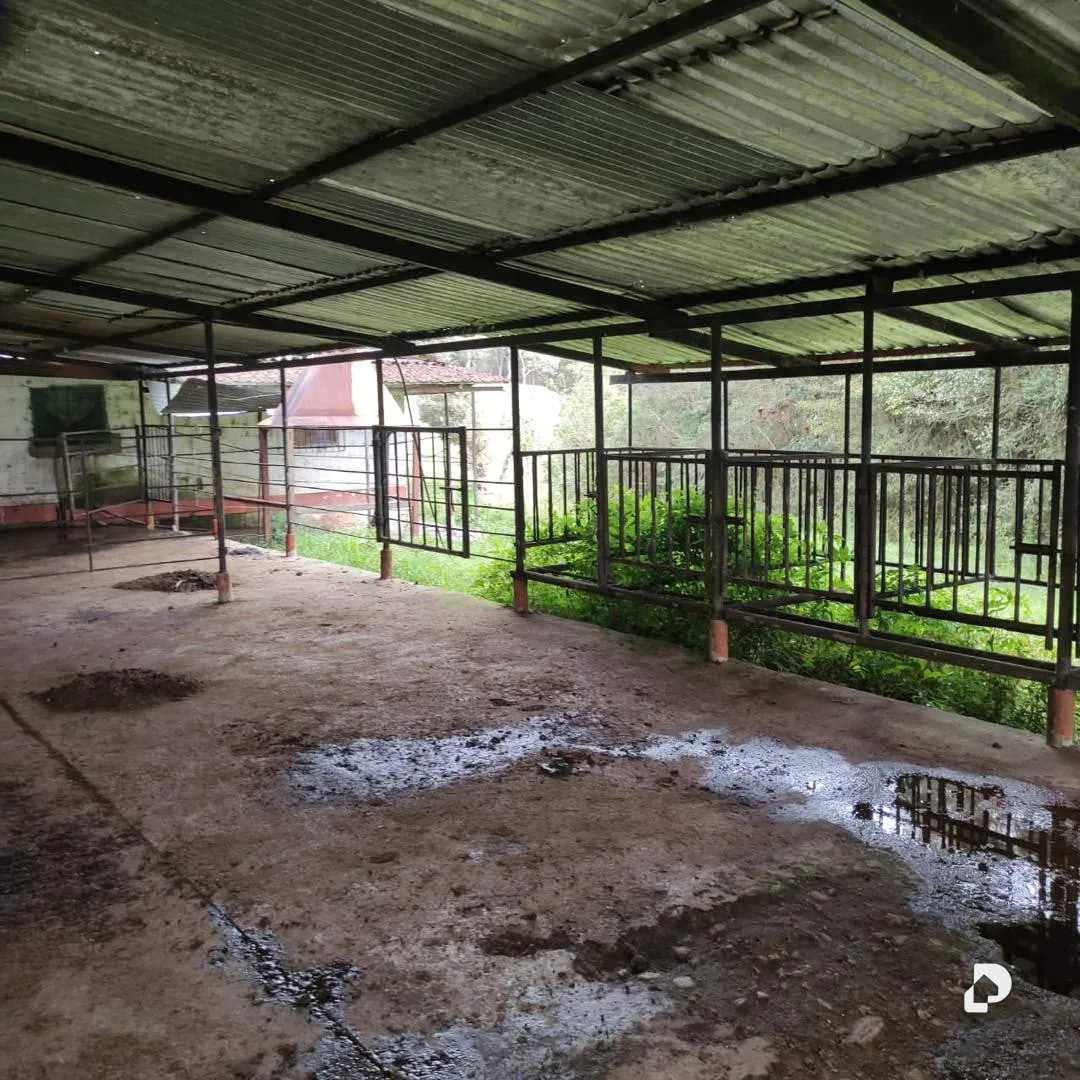 Farm in La Azulita – 10