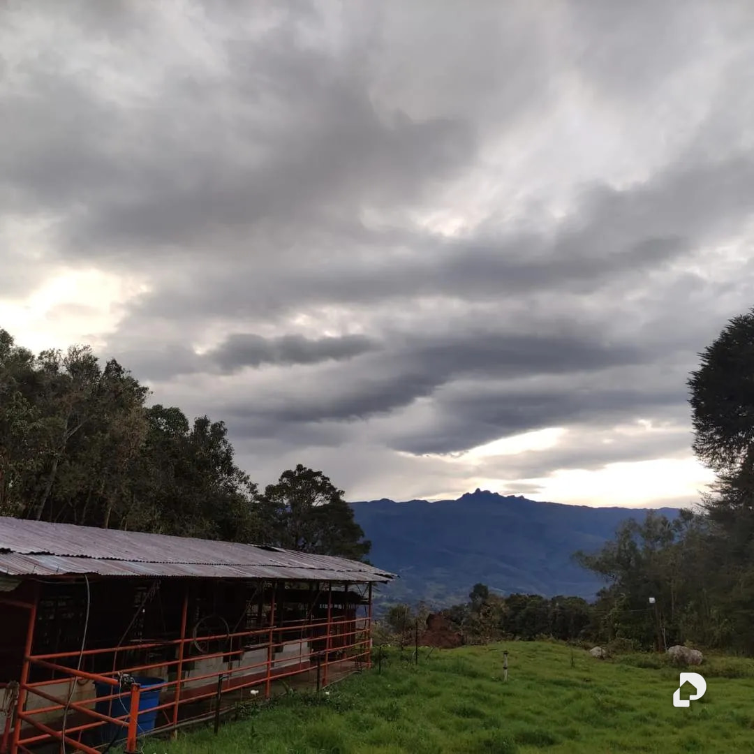 Farm in La Azulita – 6
