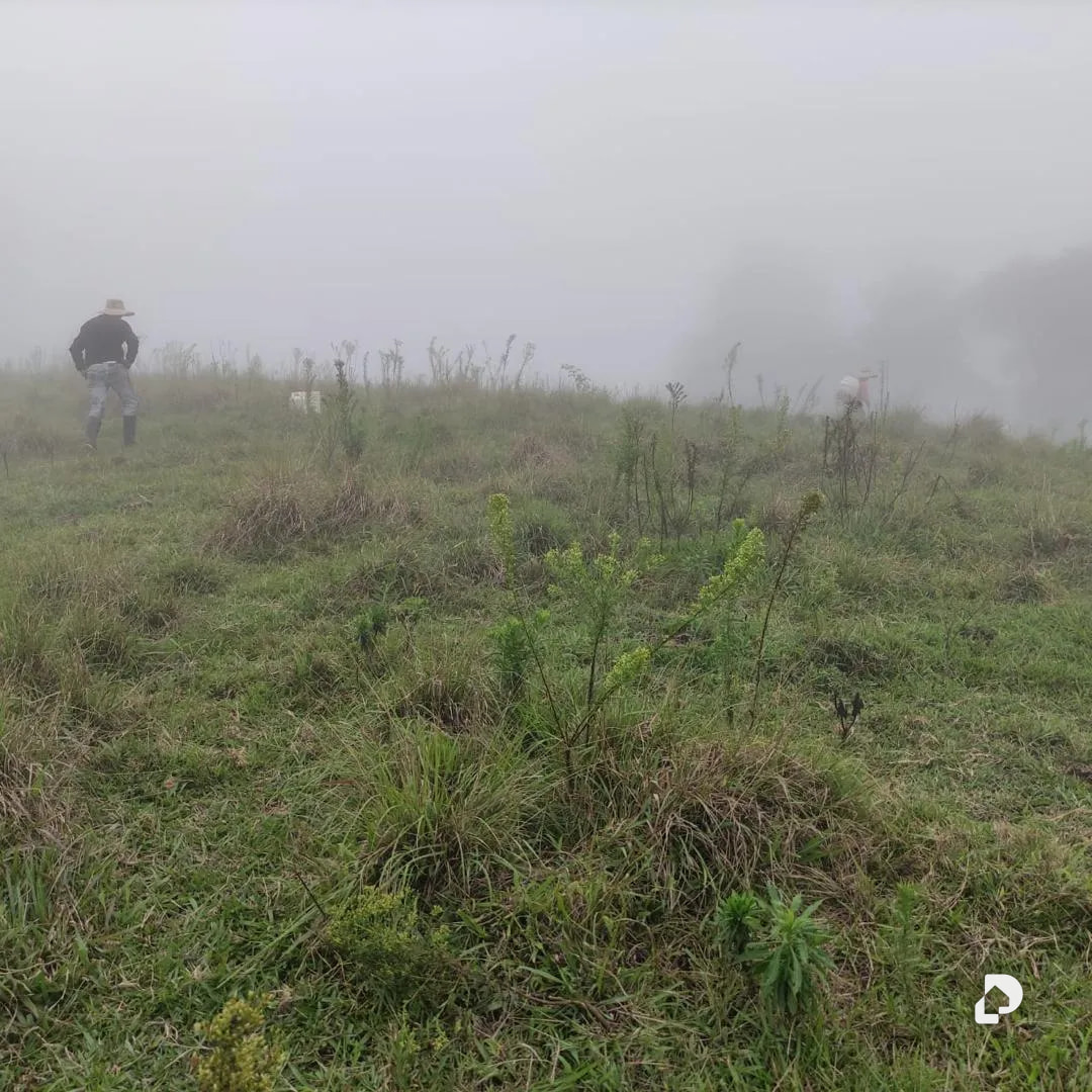 Farm in La Azulita – 15
