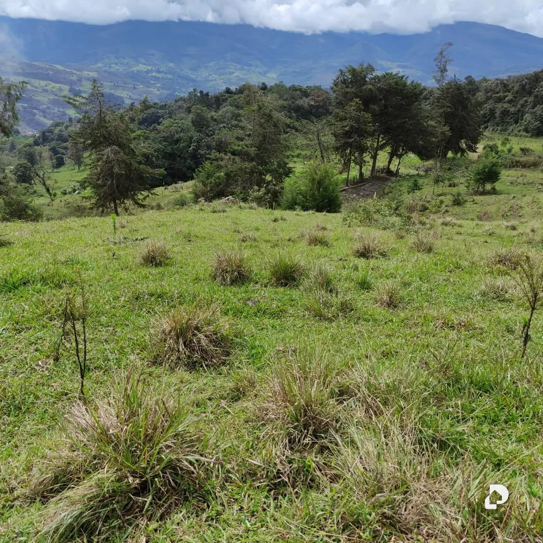 Farm in La Azulita – 2