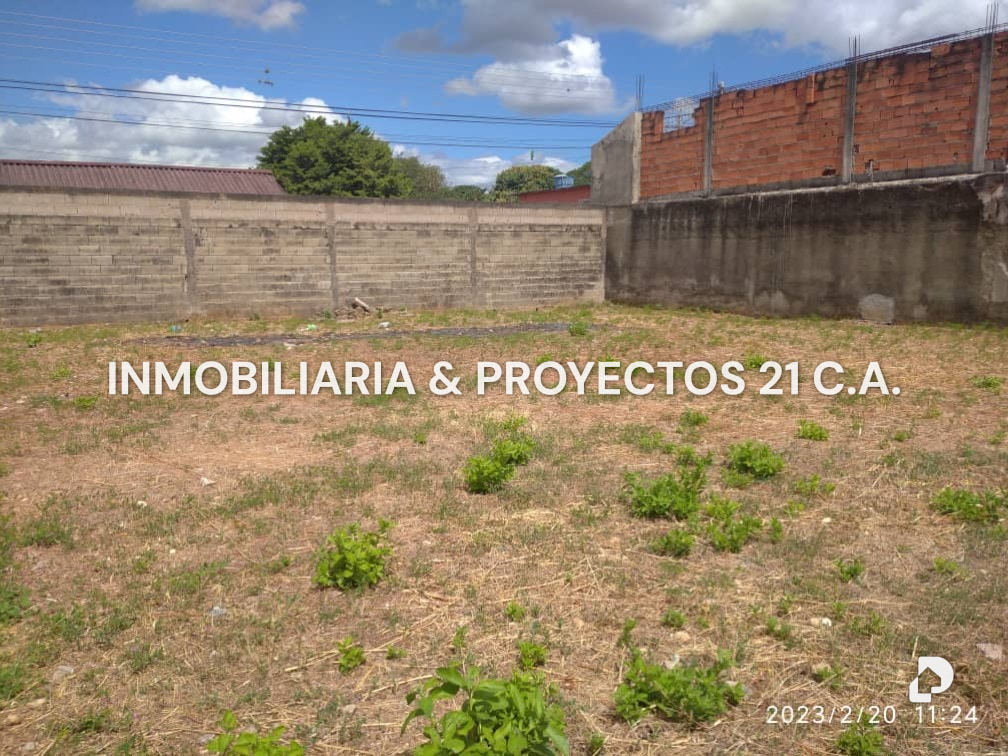 Terreno en Tinaquillo – 5