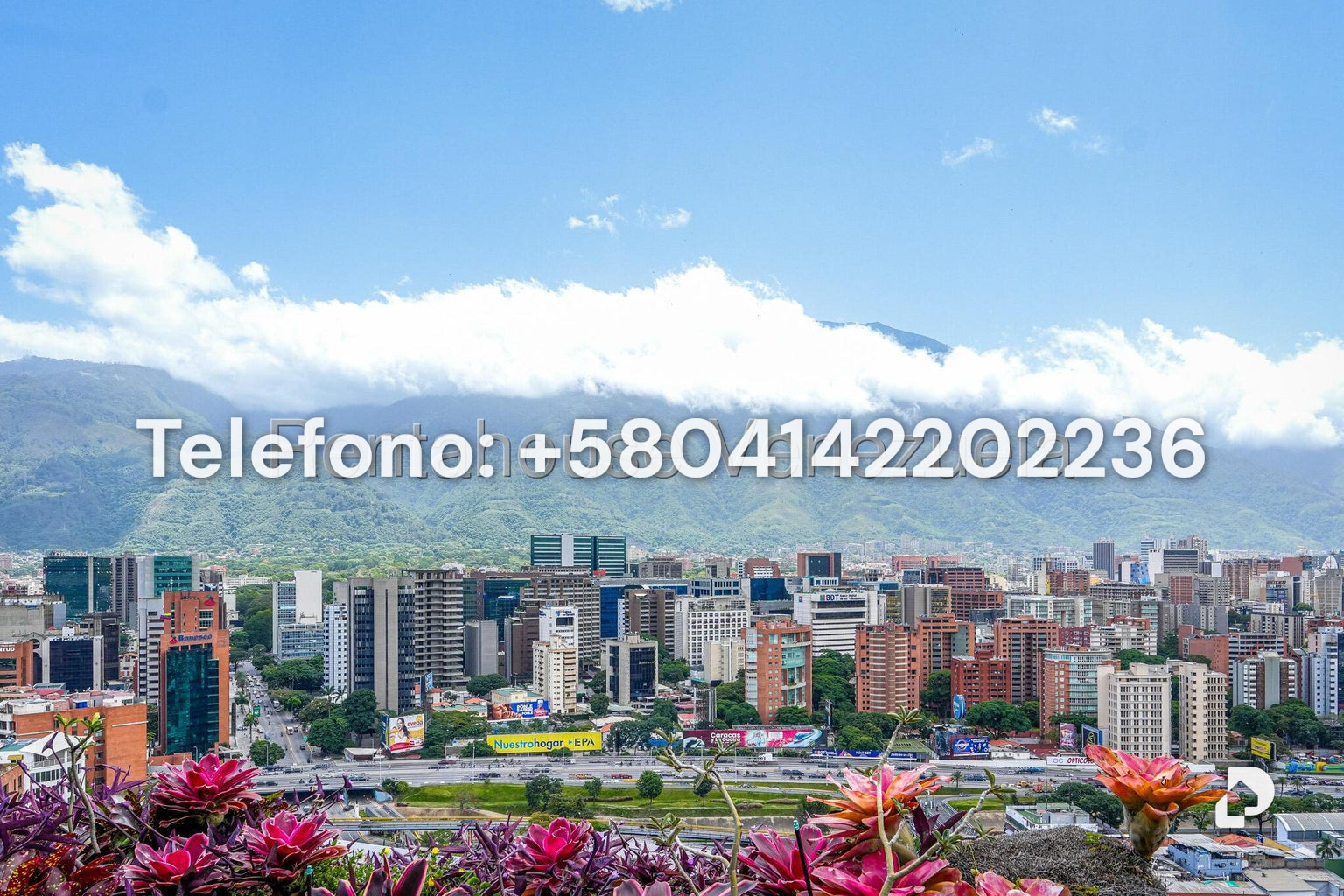 Apartamento en Las Mercedes, Caracas