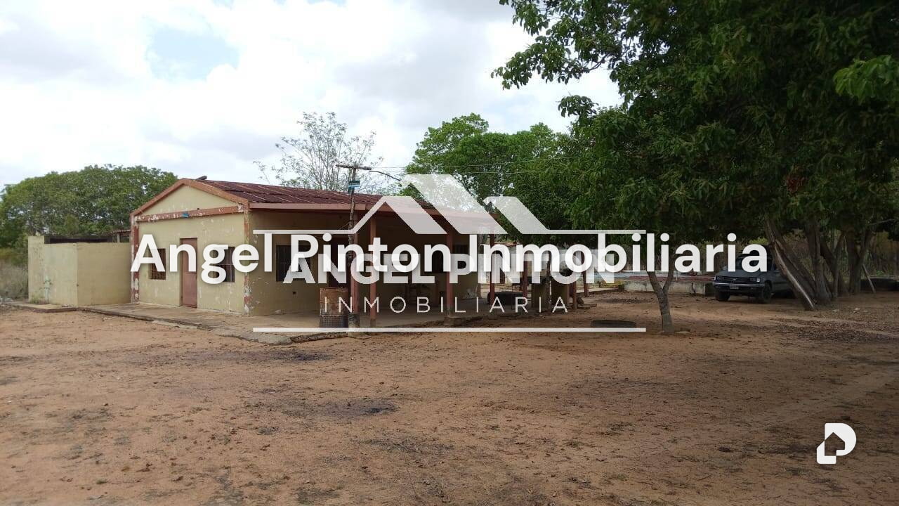 Finca en Maracaibo – 4