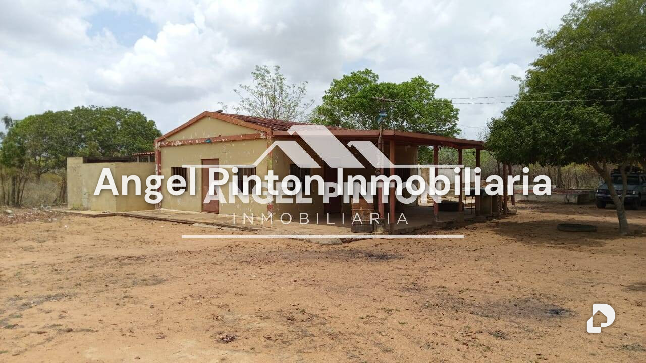 Finca en Maracaibo – 1