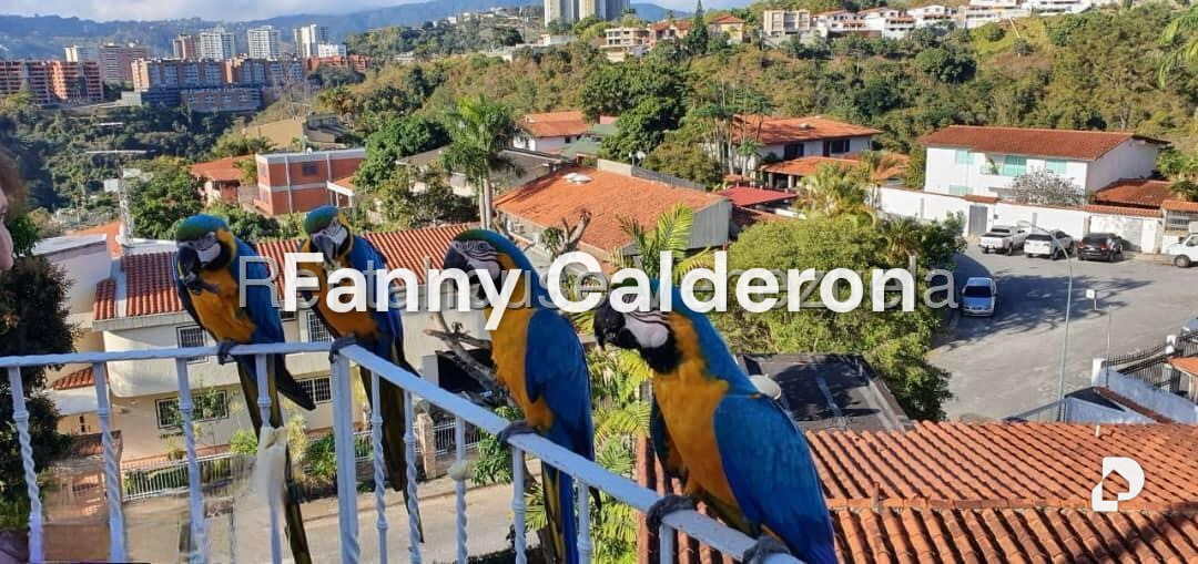 Casa en Colinas de Tamanaco, Caracas – 23