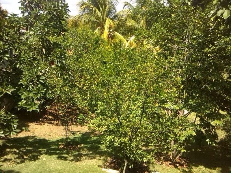 Casa en Barquisimeto - 1