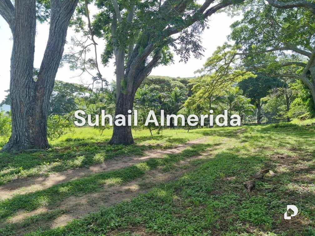Finca en Aguirre, Montalbán – 14