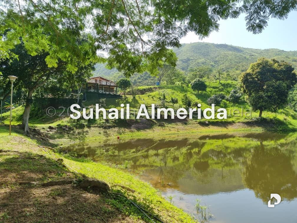 Finca en Aguirre, Montalbán – 1