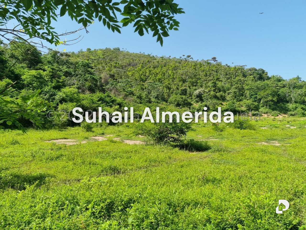 Finca en Aguirre, Montalbán – 10