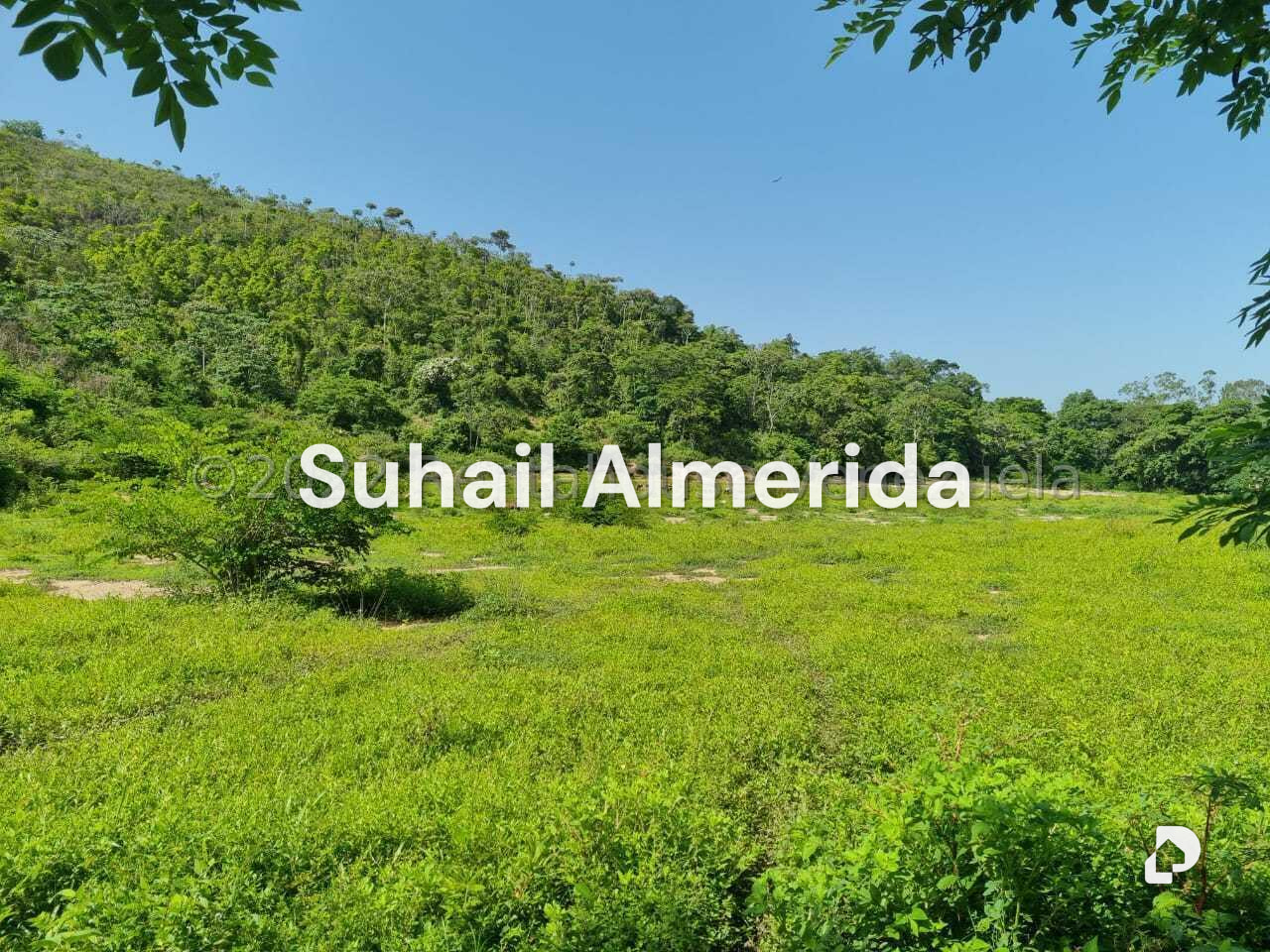 Finca en Aguirre, Montalbán – 6