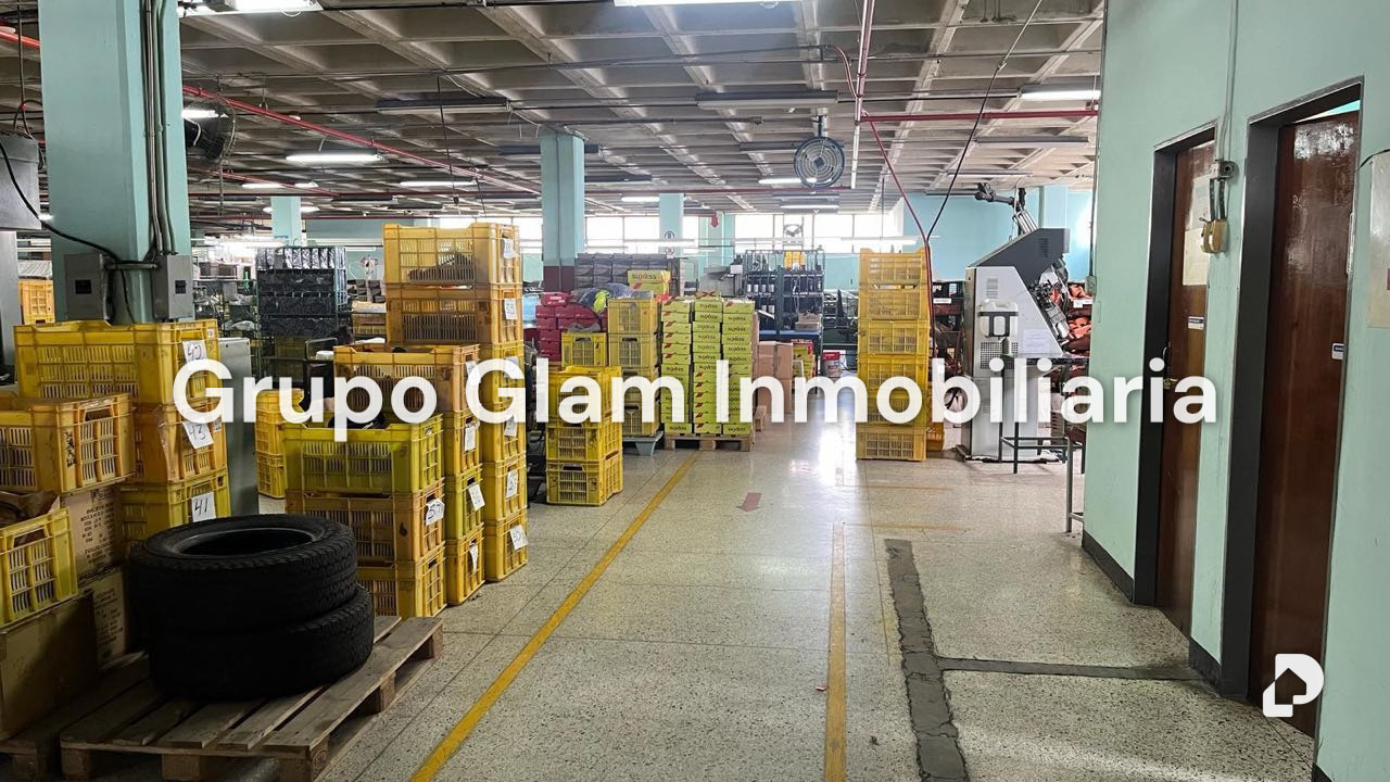 Galpón en Guaicay, Caracas – 12