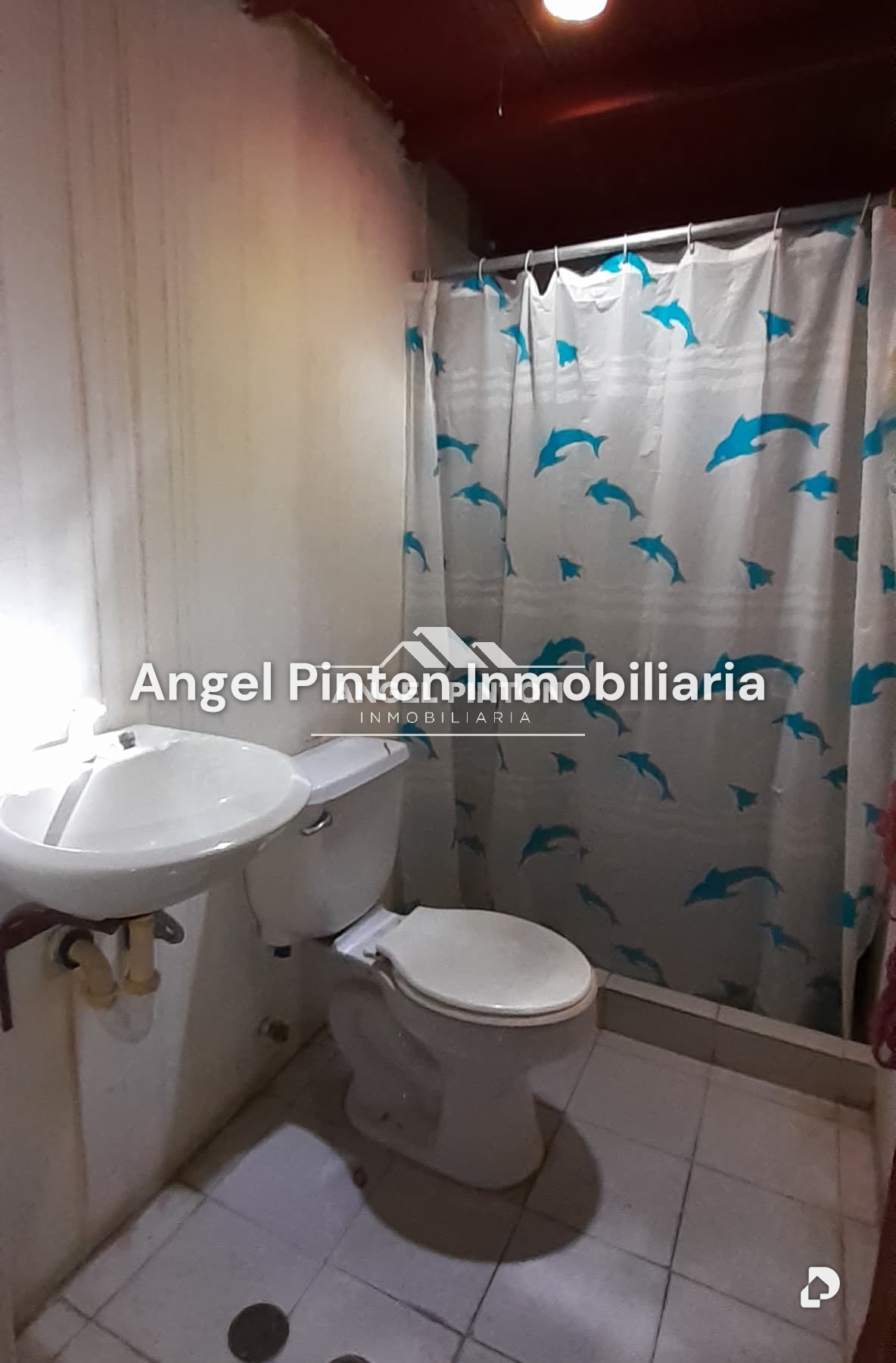 Local comercial en Altos del Sol Amado, Maracaibo – 19