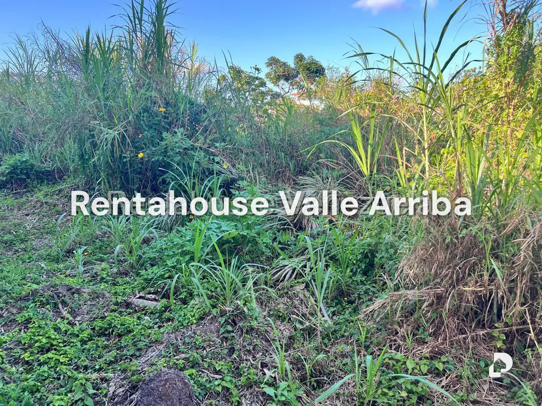 Terreno en El Hatillo, Caracas – 3