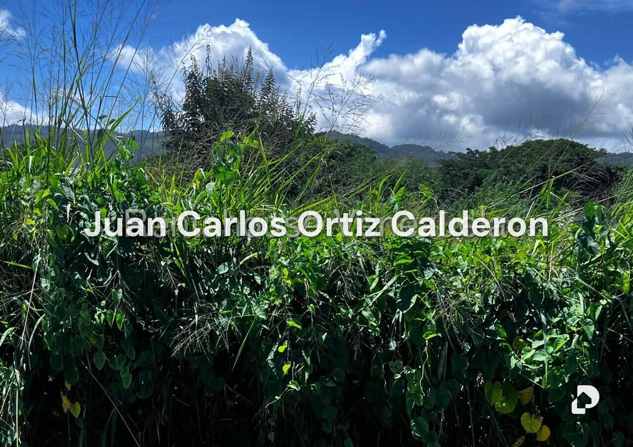 Terreno en El Ingenio, Guatire – 2