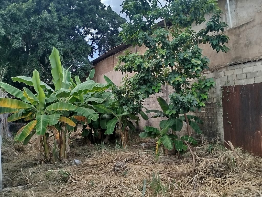 Terreno en Maracay - 1