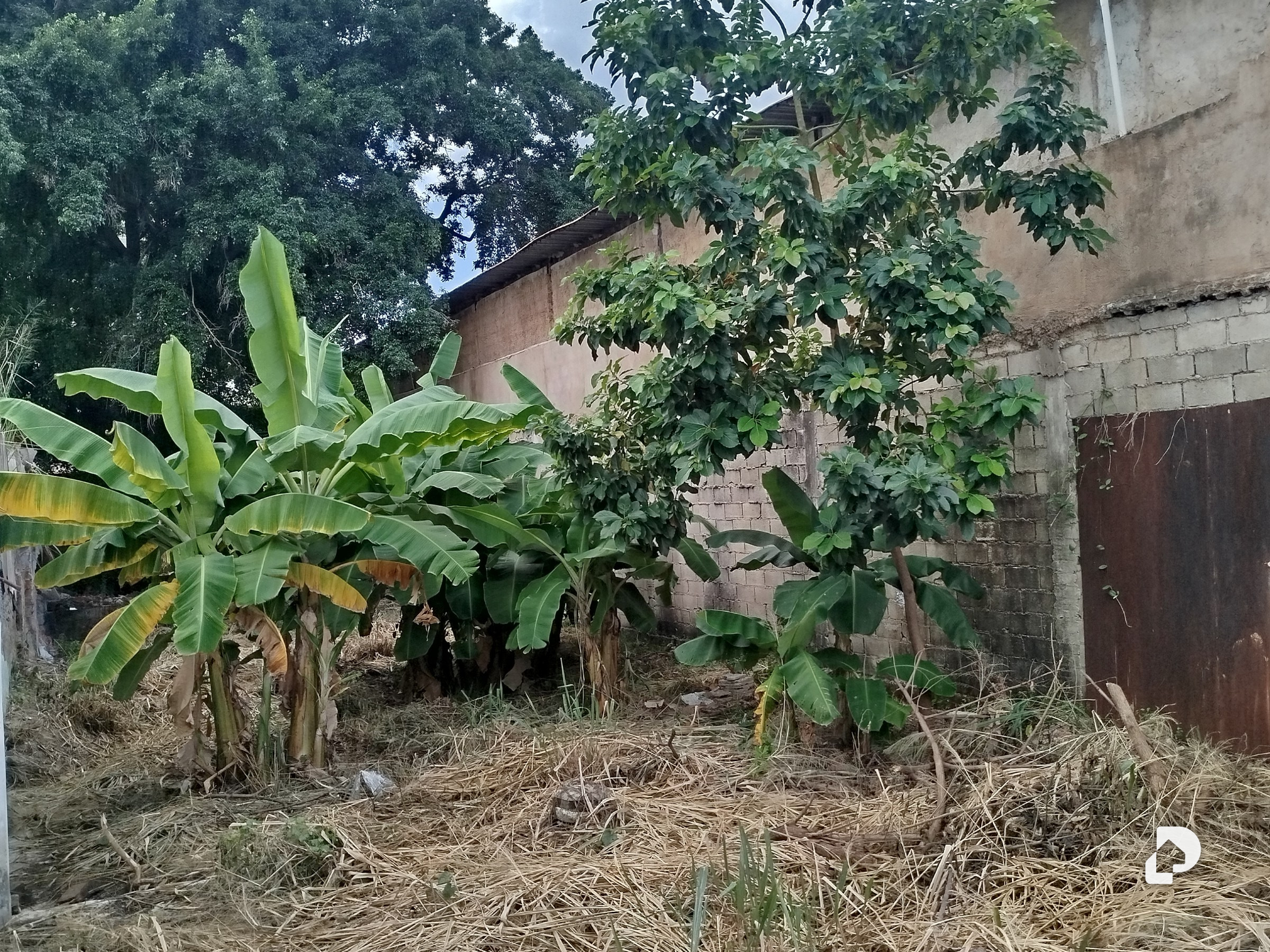 Terreno en Maracay – 1