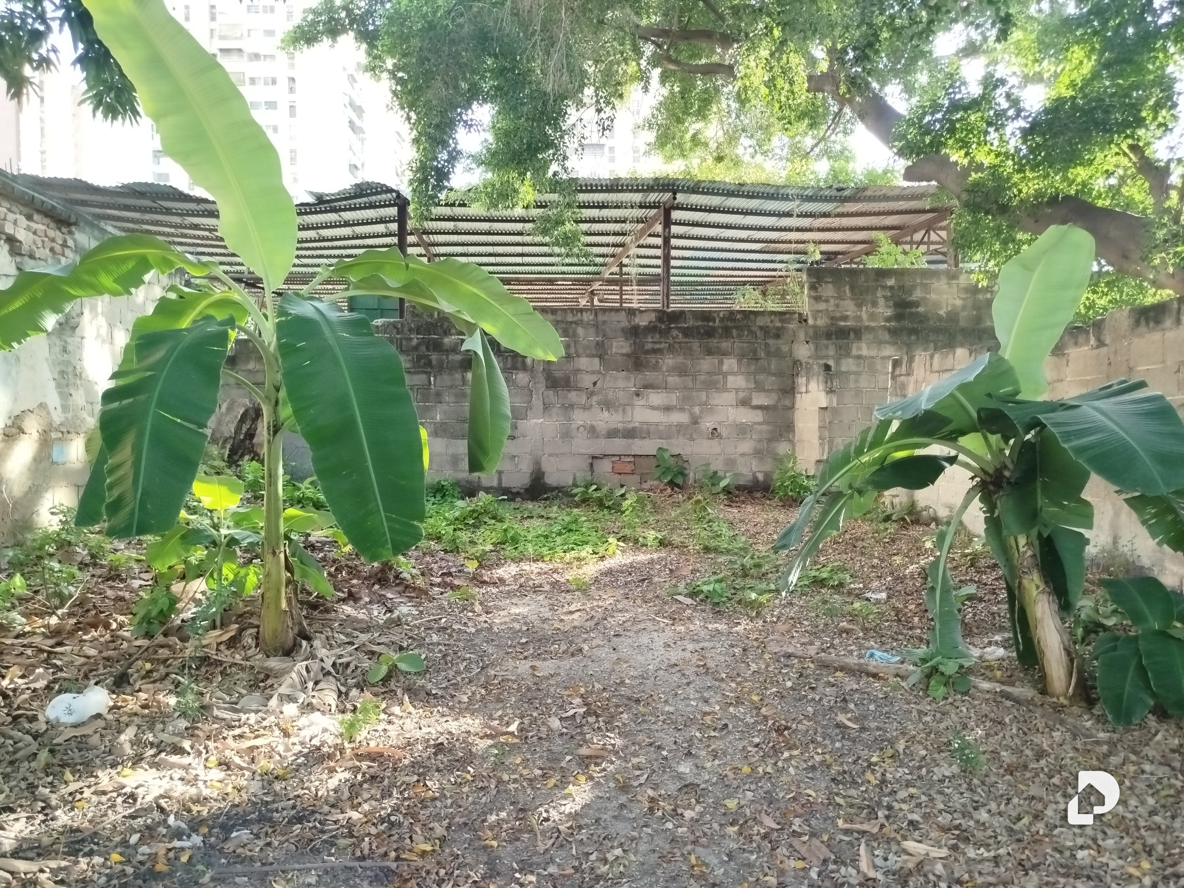 Terreno en Maracay – 4