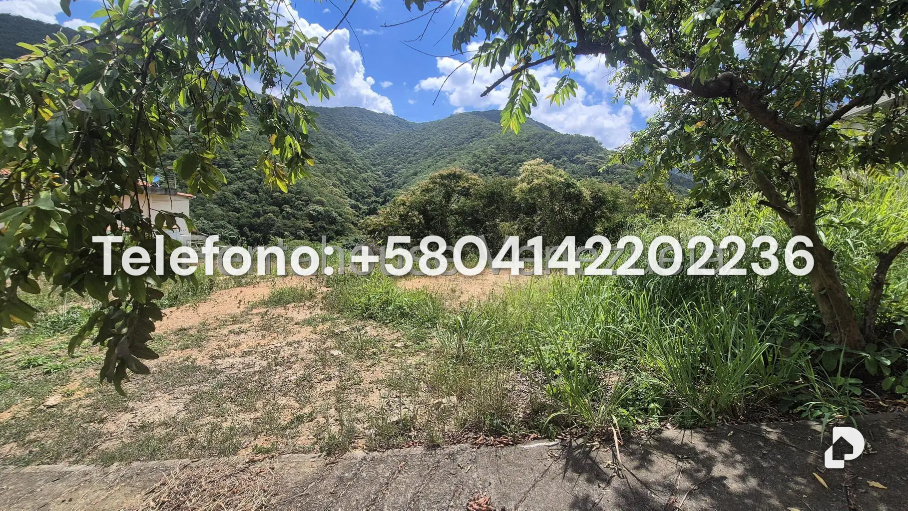 Terreno en Izcaragua, Caracas – 15