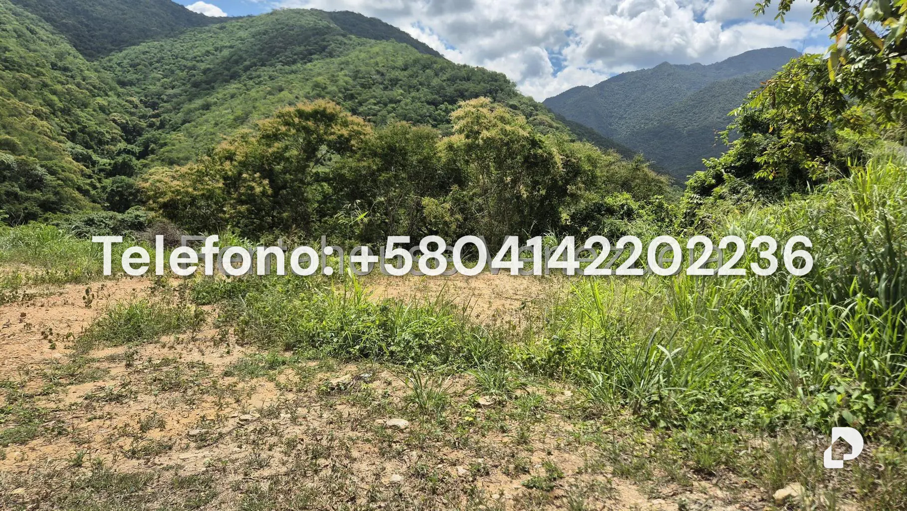 Terreno en Izcaragua, Caracas – 5