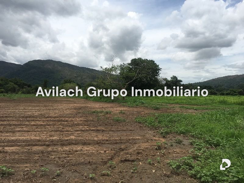 Terreno en La Cumaca, Valencia – 5