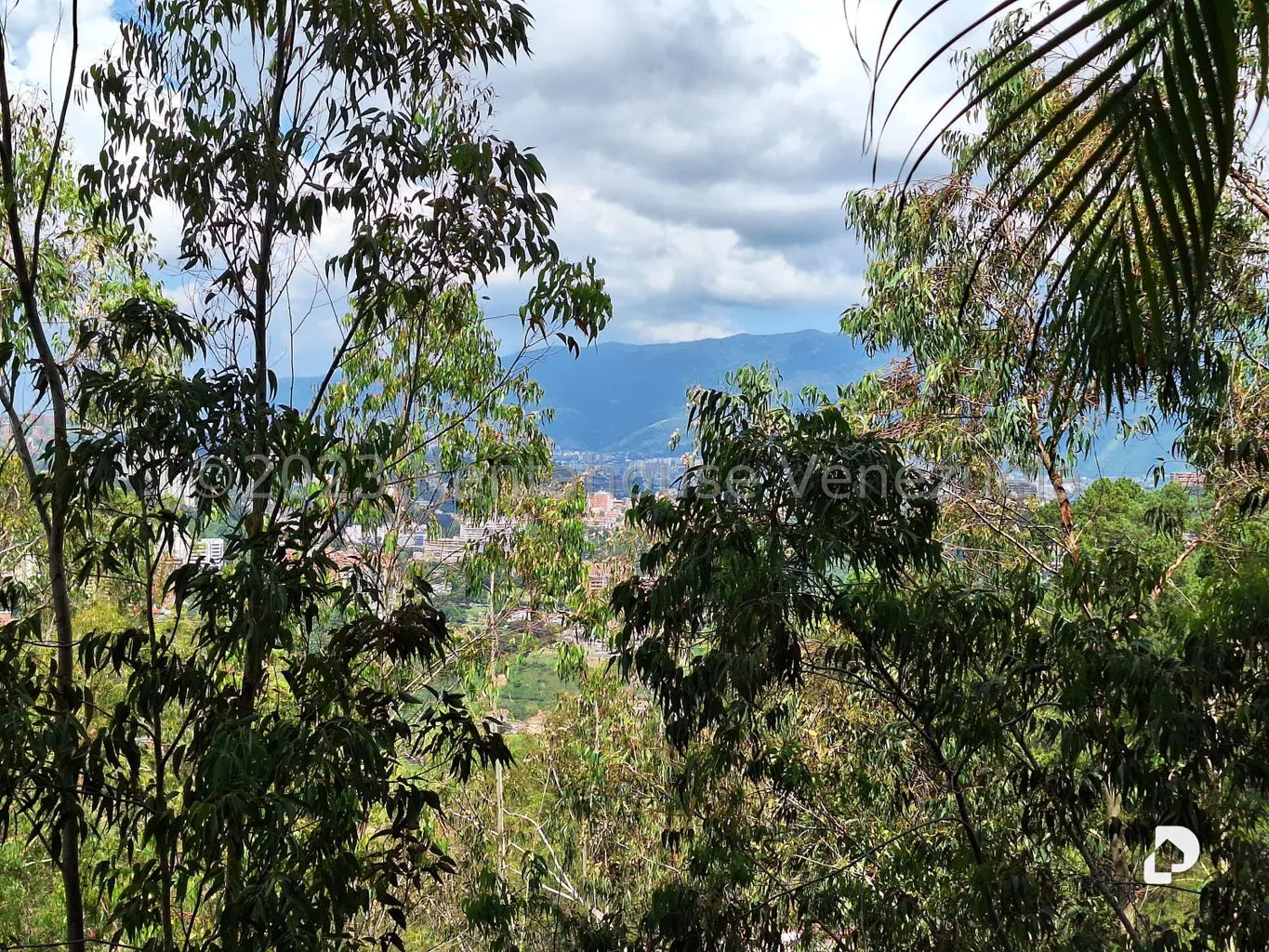 Apartamento en Los Naranjos (del Cafetal), Caracas – 7