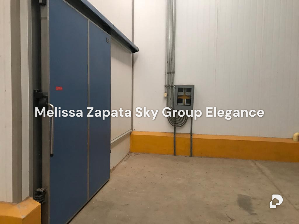 Warehouse in Carora – 11