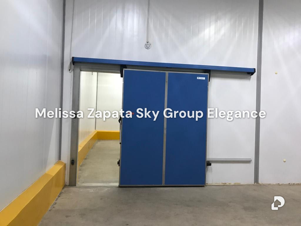 Warehouse in Carora – 9