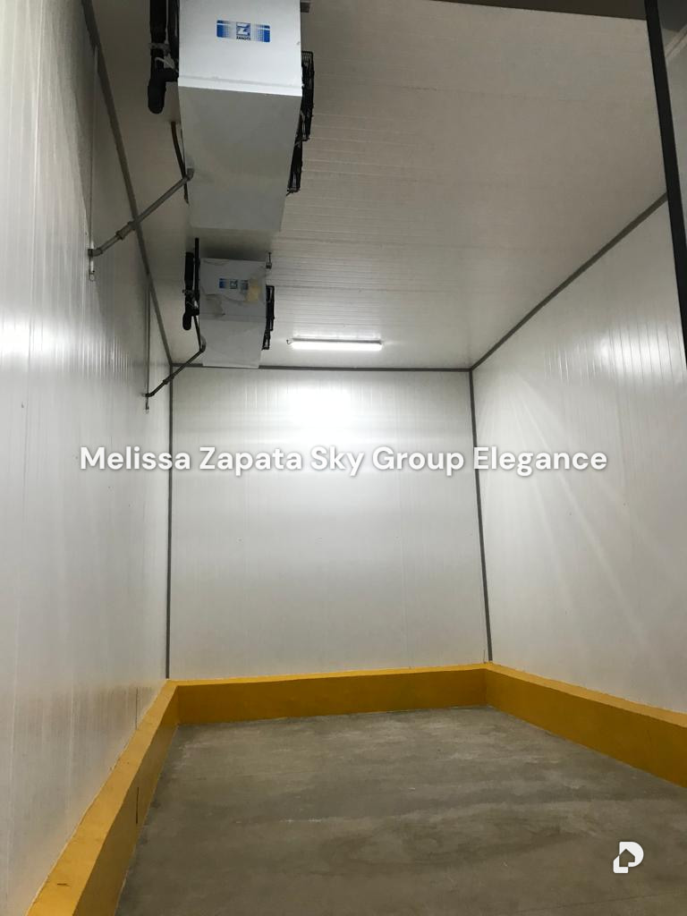 Warehouse in Carora – 12