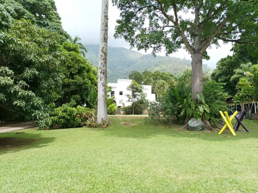 Land in Los Chorros, Caracas - 1