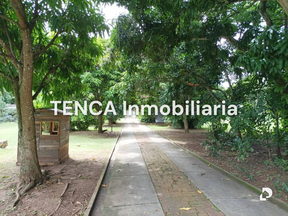 Terreno en Los Chorros, Caracas