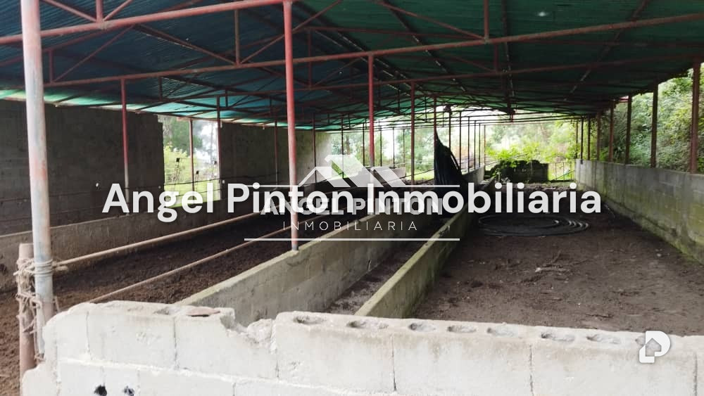Finca en San Jacinto, Trujillo – 4