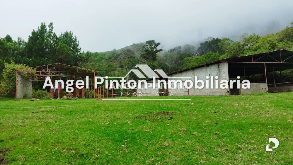 Finca en San Jacinto, Trujillo – 3