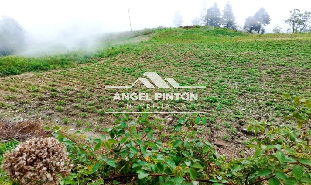 Finca en San Jacinto, Trujillo - 1