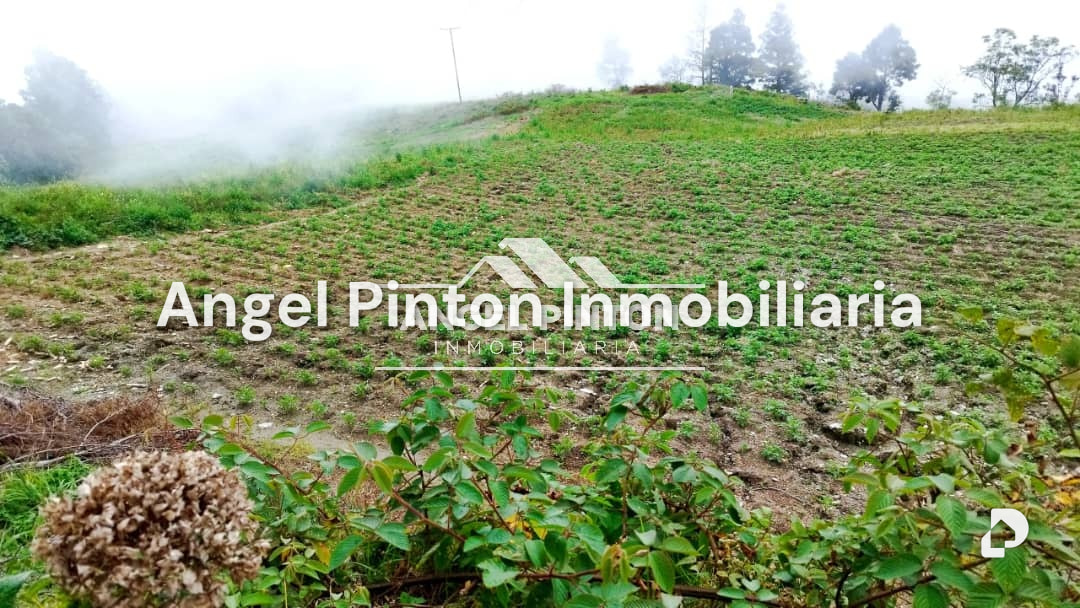 Finca en San Jacinto, Trujillo – 1
