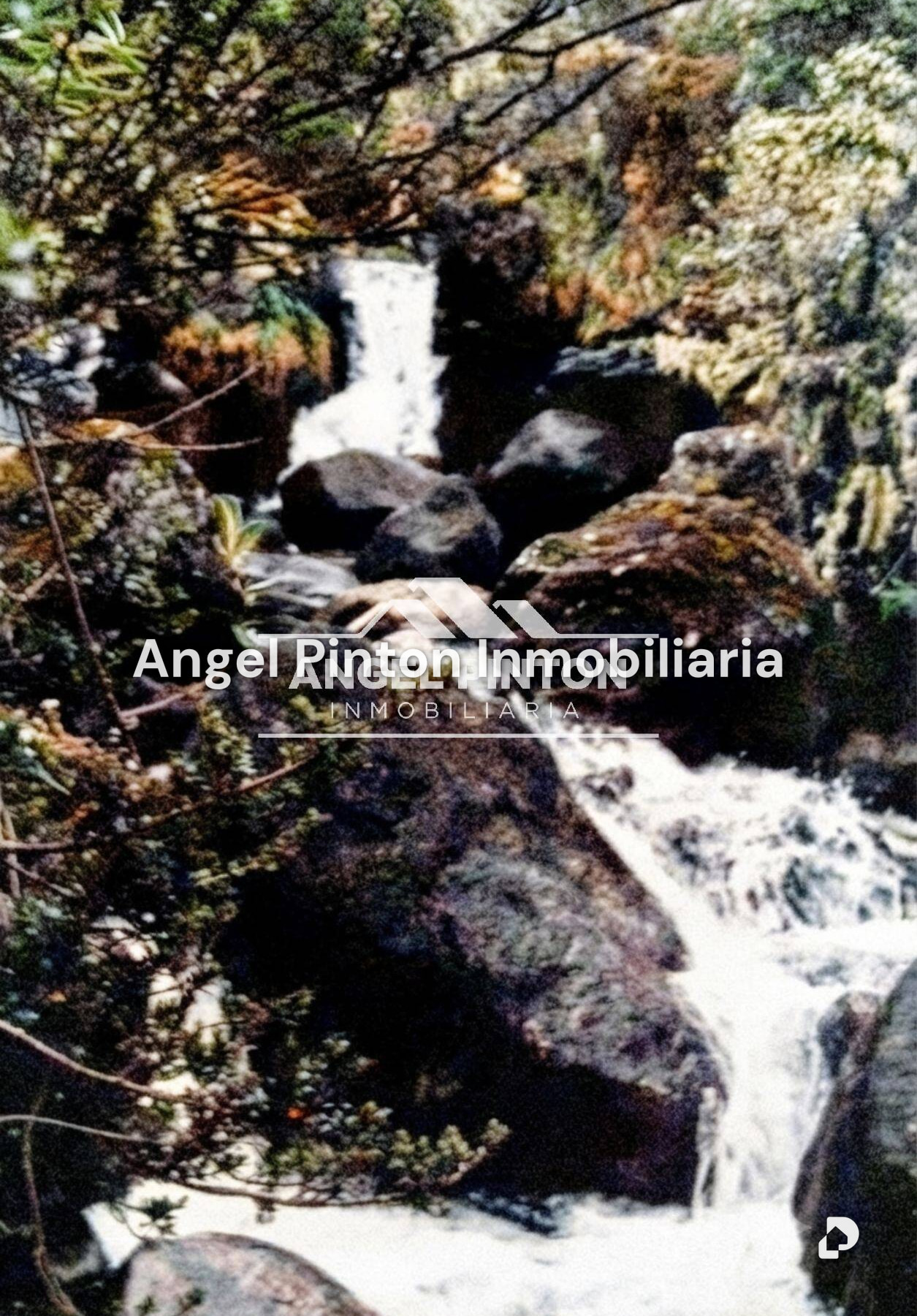 Finca en Mérida – 3