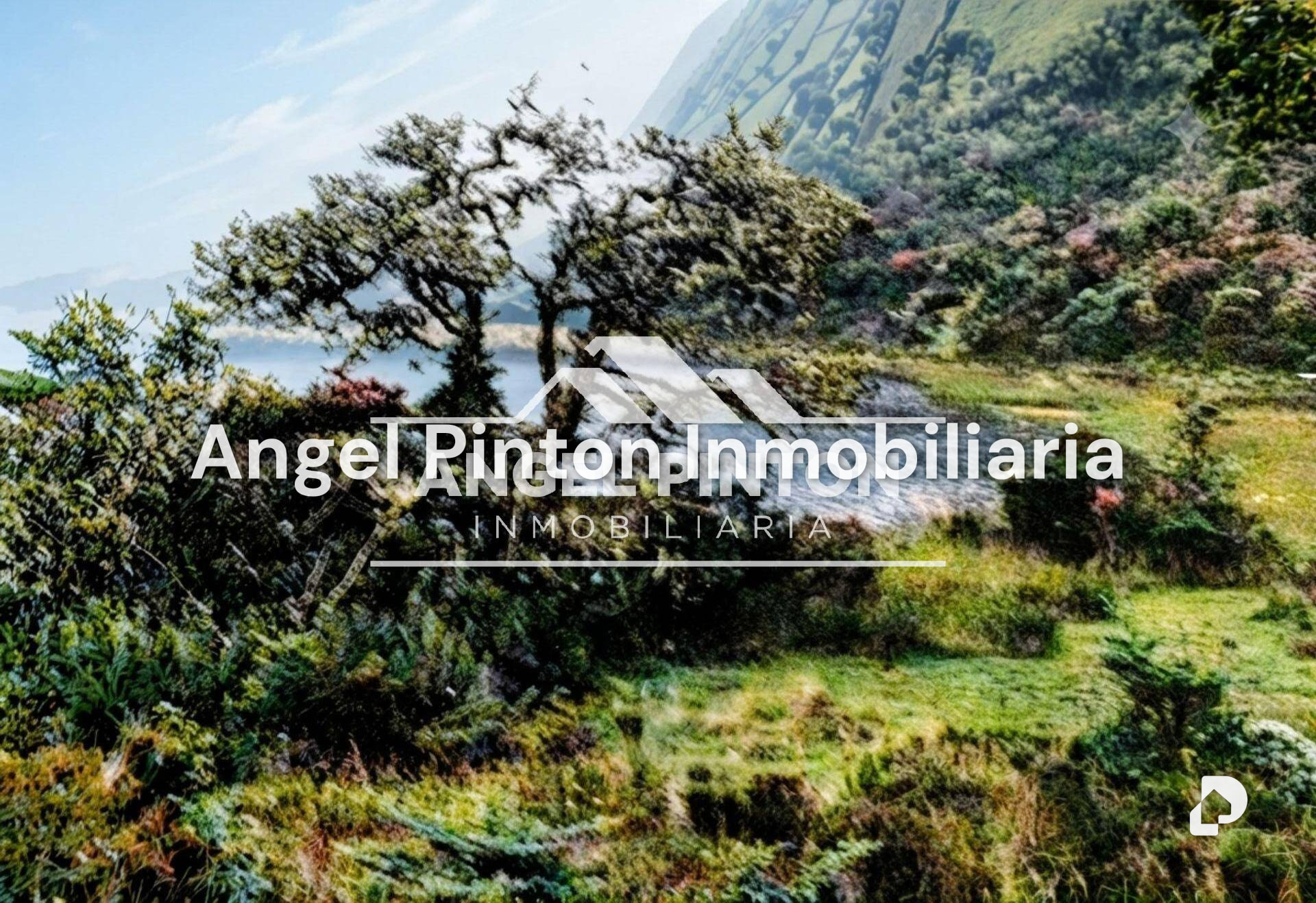 Finca en Mérida – 4
