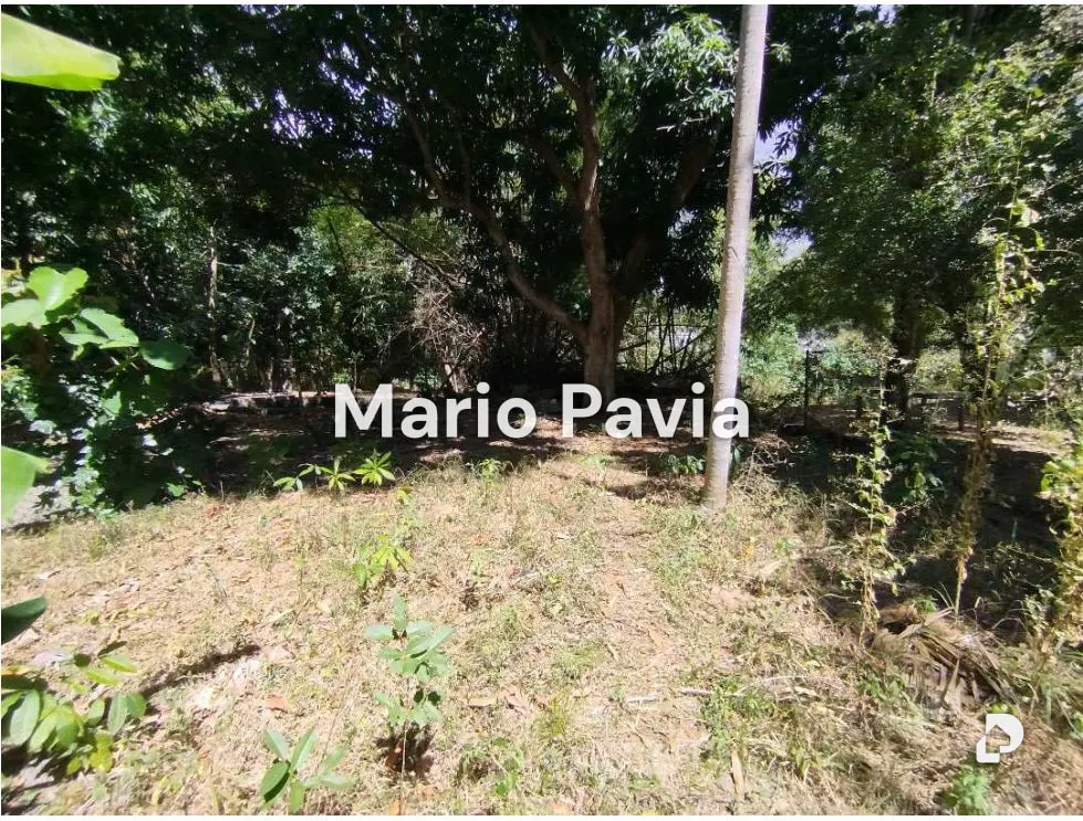 Casa en Las Quintas de Naguanagua, Naguanagua – 16