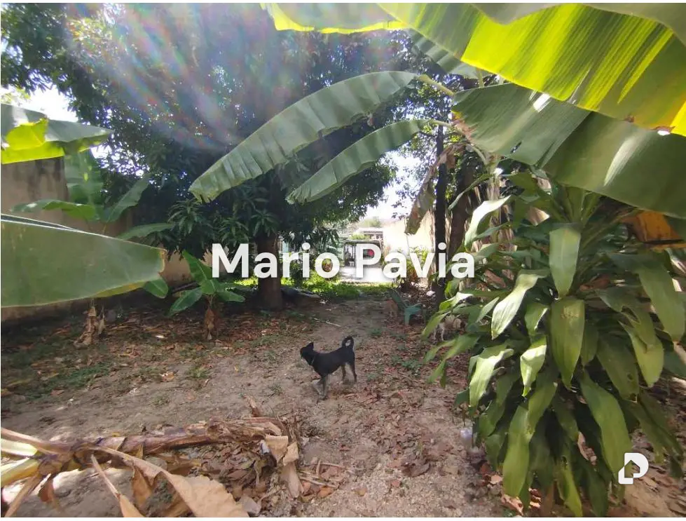 Casa en Las Quintas de Naguanagua, Naguanagua – 15