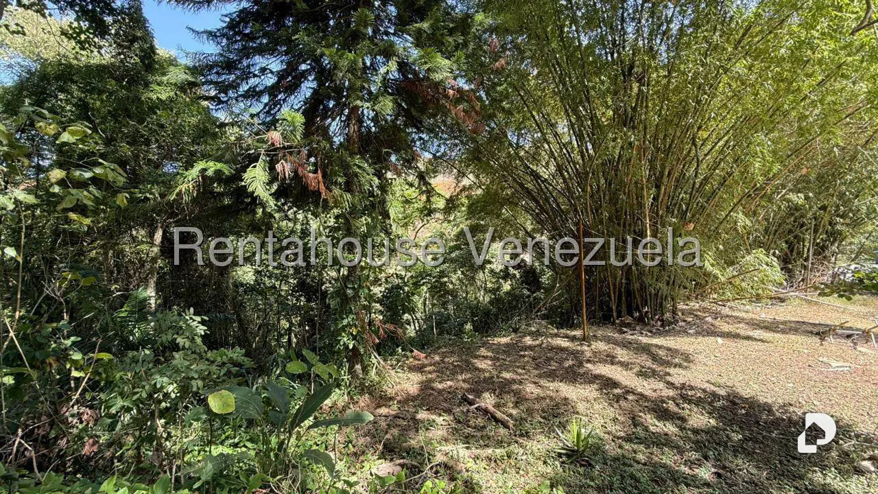 Terreno en Gavilan, Caracas – 2