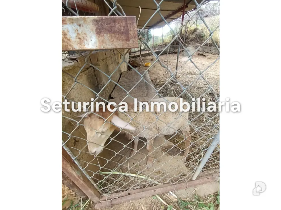 Farm in San Casimiro, Camatagua – 91