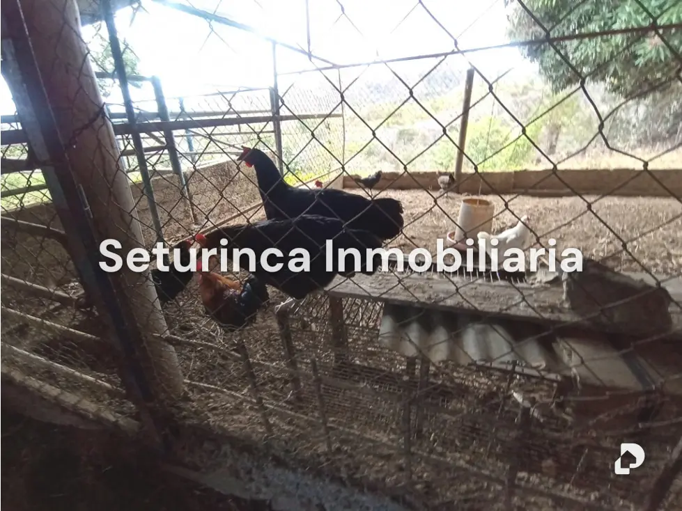 Farm in San Casimiro, Camatagua – 86