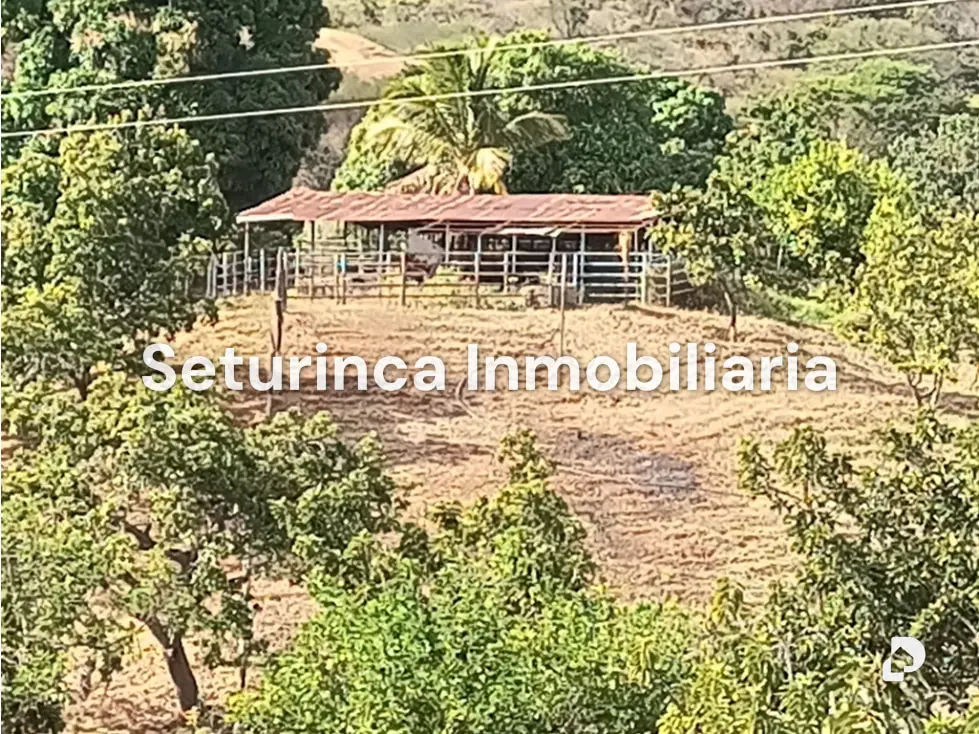 Farm in San Casimiro, Camatagua – 82