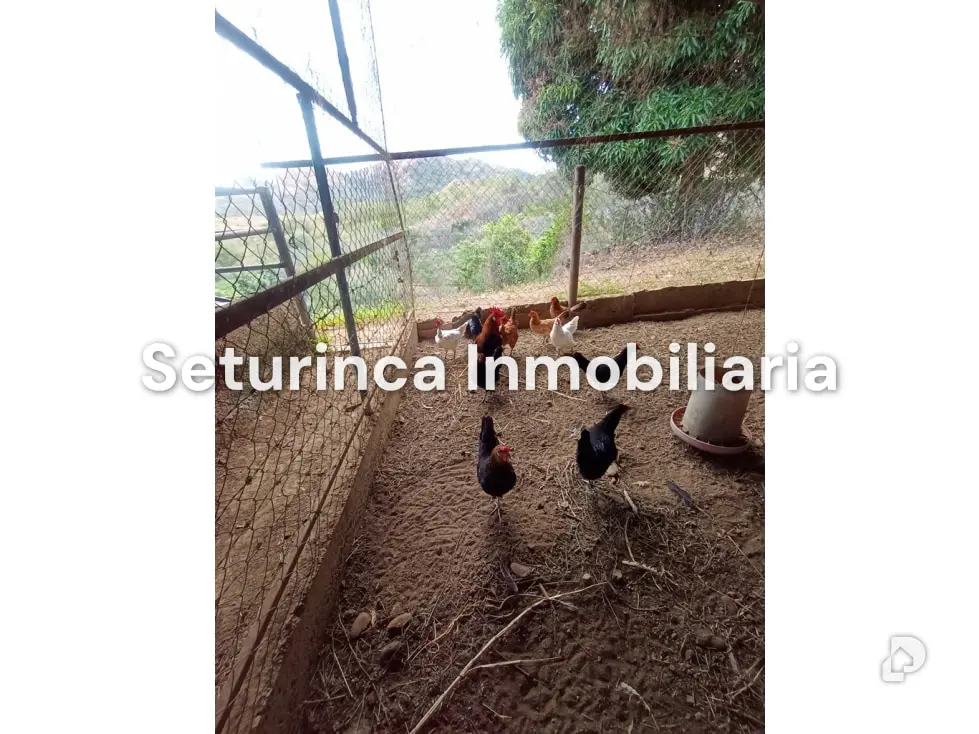 Farm in San Casimiro, Camatagua – 92
